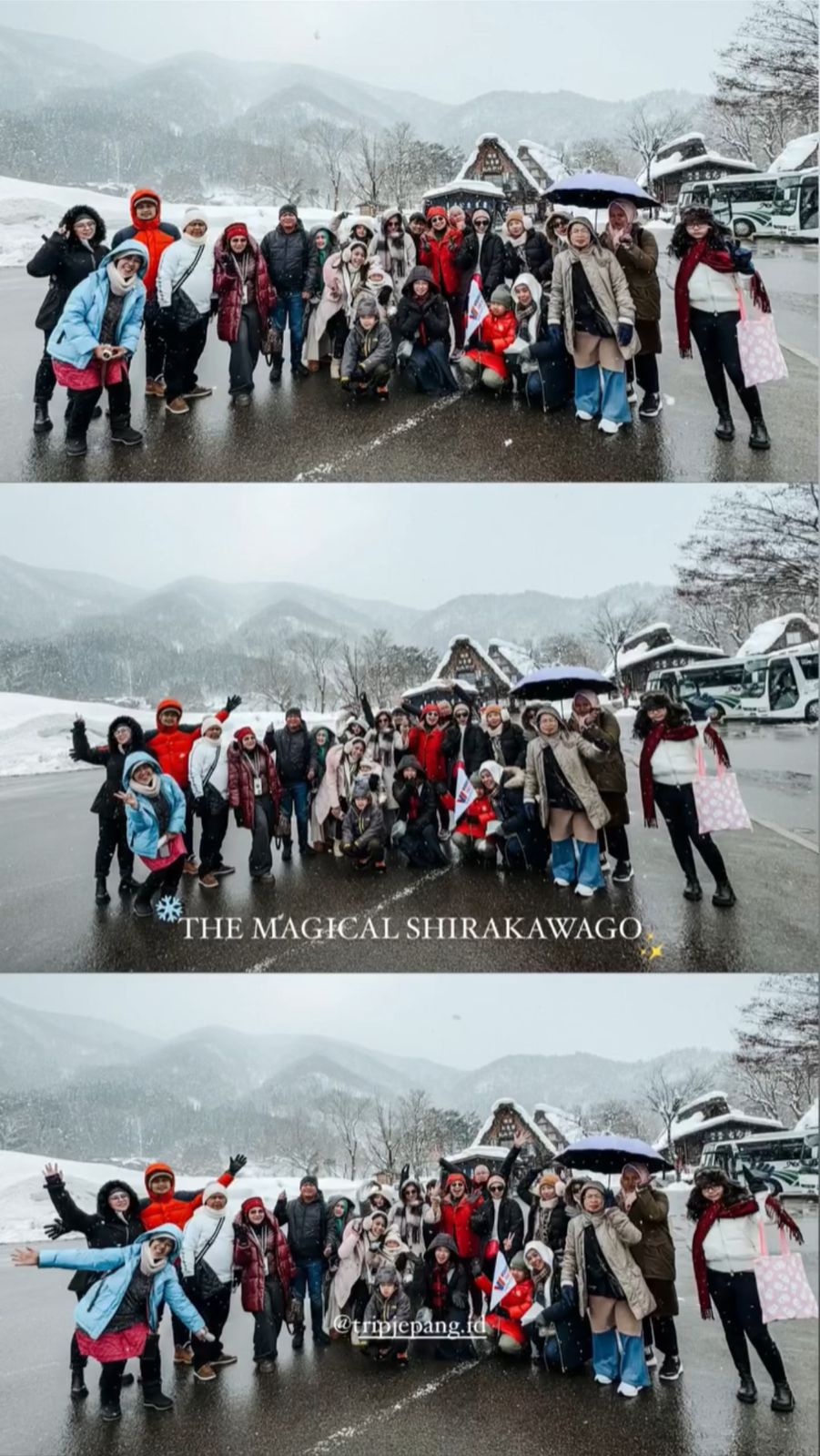 WhatsApp Image 2025-02-04 at 16.10.00 WhatsApp Image 2025-02-04 at 16.10.00